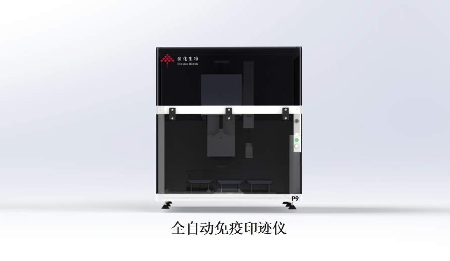全自动免疫印迹仪